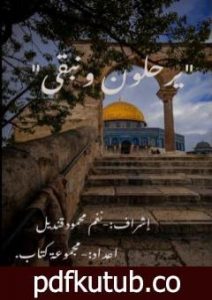 تحميل كتاب يرحلون ونبقى PDF تأليف مجموعة من المؤلفين مجانا [كامل]