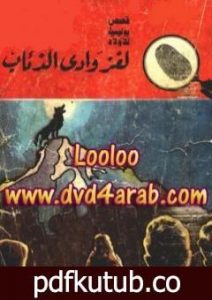 تحميل كتاب لغز وادي الذئاب – سلسلة المغامرون الخمسة: 19 PDF تأليف محمود سالم مجانا [كامل]