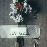 تحميل كتاب يُضمّدها الأمل PDF تأليف أماني سليمان مجانا [كامل]