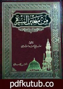 تحميل كتاب من معين السيرة PDF تأليف صالح أحمد الشامي مجانا [كامل]