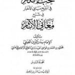 تحميل كتاب نخب الأفكار في تنقيح مباني الأخبار في شرح معاني الآثار – المجلد السادس PDF تأليف بدر الدين العيني مجانا [كامل]