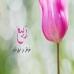 تحميل كتاب ربيع – خواطر من عبق الزهر PDF تأليف باتريك موديانو مجانا [كامل]