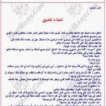 تحميل كتاب الحذاء الضيق PDF تأليف عزيز نيسين مجانا [كامل]