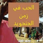 تحميل كتاب الحب في زمن الجنجويد PDF تأليف أحمد الملك مجانا [كامل]