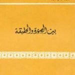 تحميل كتاب بين الصورة والحقيقة PDF تأليف أبو الحسن الندوي مجانا [كامل]