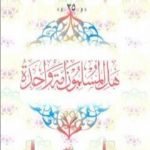 تحميل كتاب هل المسلمون أمة واحدة PDF تأليف محمد عمارة مجانا [كامل]