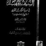 تحميل كتاب السيف المهند في سيرة الملك المؤيد PDF تأليف بدر الدين العيني مجانا [كامل]