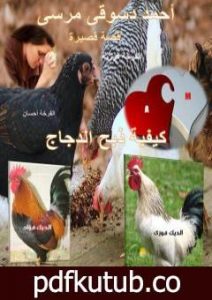 تحميل كتاب نقد لقصة ذبح الدجاج للقاص أحمد دسوقي – السيد حسن PDF تأليف أحمد دسوقي مرسي مجانا [كامل]