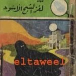 تحميل كتاب لغز الشبح الأسود – سلسلة المغامرون الخمسة: 4 PDF تأليف محمود سالم مجانا [كامل]