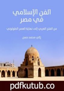 تحميل كتاب الفن الإسلامي في مصر – من الفتح العربي إلى نهاية العصر الطولوني PDF تأليف زكي محمد حسن مجانا [كامل]