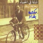 تحميل كتاب ذبابة في الحساء PDF تأليف تشارلز سيميك مجانا [كامل]