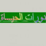 تحميل كتاب دورات الحياة PDF تأليف عبد المحسن صالح مجانا [كامل]