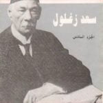 تحميل كتاب مذكرات سعد زغلول – الجزء السادس PDF تأليف سعد زغلول مجانا [كامل]