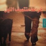 تحميل كتاب خرائط منتصف الليل PDF تأليف علي بدر مجانا [كامل]