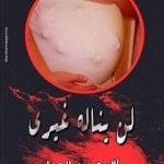 تحميل كتاب لن يناله غيري PDF تأليف آلاء حسين الجمل مجانا [كامل]