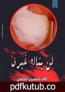 تحميل كتاب لن يناله غيري PDF تأليف آلاء حسين الجمل مجانا [كامل]
