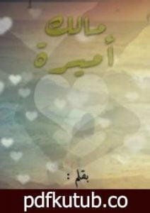 تحميل كتاب مالك أميرة PDF تأليف حفصة سالم مجانا [كامل]