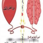 تحميل كتاب ما بين العقل والقلب PDF تأليف فريق أشرقت شمس الإبداع مجانا [كامل]