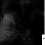 تحميل كتاب أرانب PDF تأليف سلوى بكر مجانا [كامل]