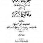 تحميل كتاب نخب الأفكار في تنقيح مباني الأخبار في شرح معاني الآثار – المجلد العاشر PDF تأليف بدر الدين العيني مجانا [كامل]