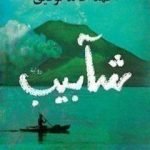 تحميل كتاب شآبيب PDF تأليف أحمد خالد توفيق مجانا [كامل]