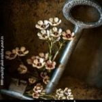 تحميل كتاب بعثرات أنثى من زجاج PDF تأليف أسماء المخلافي مجانا [كامل]