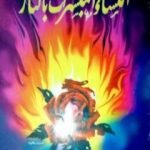 تحميل كتاب النساء المبشرات بالنار PDF تأليف منصور عبد الحكيم مجانا [كامل]