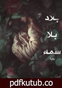 تحميل كتاب بلاد بلا سماء PDF تأليف وجدي الأهدل مجانا [كامل]