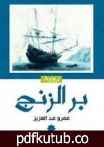 تحميل كتاب بر الزنج PDF تأليف عمرو عبد العزيز مجانا [كامل]