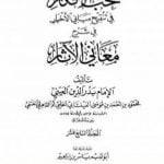 تحميل كتاب نخب الأفكار في تنقيح مباني الأخبار في شرح معاني الآثار – المجلد السابع عشر PDF تأليف بدر الدين العيني مجانا [كامل]