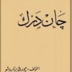 تحميل كتاب جان دارك PDF تأليف جورج برنارد شو مجانا [كامل]