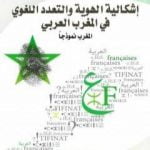 تحميل كتاب إشكالية الهوية والتعدد اللغوي بالمغرب العربي: المغرب نموذجاً PDF تأليف إلياس بلكا مجانا [كامل]