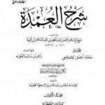 تحميل كتاب شرح العمدة – المجلد الأول: الطهارة PDF تأليف ابن تيمية مجانا [كامل]