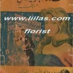 تحميل كتاب عذراء باريس PDF تأليف غي دو موباسان مجانا [كامل]