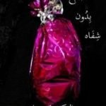 تحميل كتاب أصابع بدون شفاه PDF تأليف د. سعاد درير مجانا [كامل]