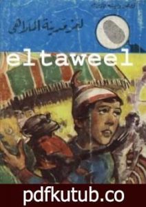 تحميل كتاب لغز مدينة الملاهي – سلسلة المغامرون الخمسة: 99 PDF تأليف محمود سالم مجانا [كامل]