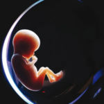 تحميل كتاب الرحم الاصطناعي PDF جمال سند السويدي مجانا